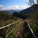 Sentiero coda di volpe, trekking a Tindari
