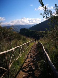Sentiero coda di volpe, trekking a Tindari