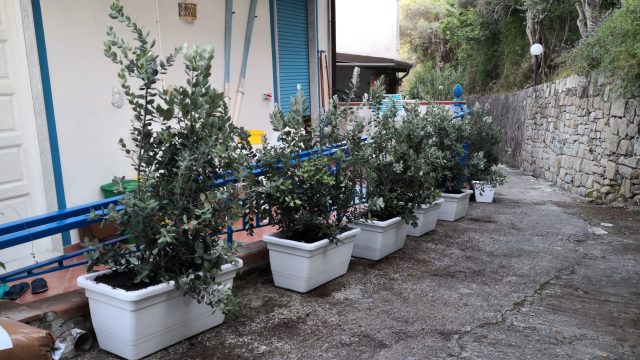 la casa di aurelio terrazza goletta